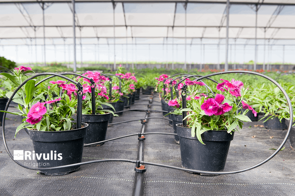 Đầu tưới nhỏ giọt Rivulis E1000