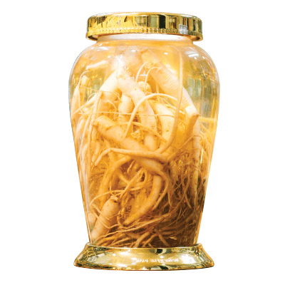 Rượu đẳng sâm của thương hiệu Sâm Ngọc Linh MHG