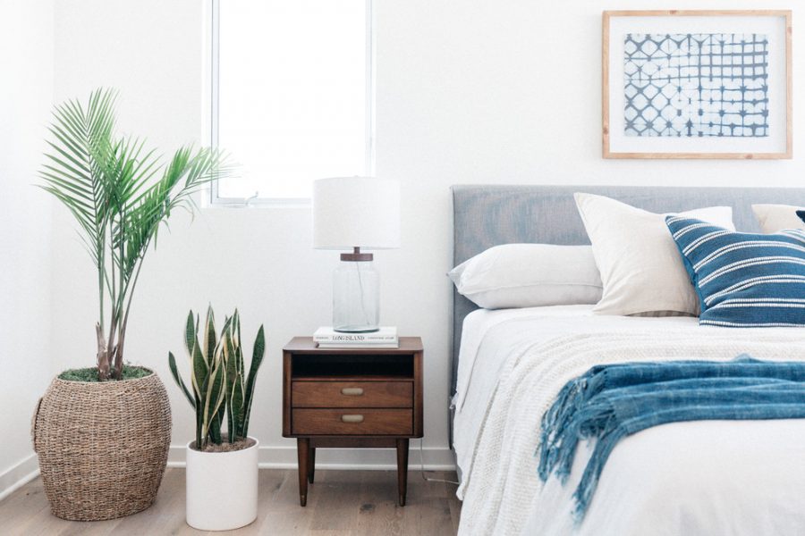 Các loại cây hợp phòng ngủ bạn giúp cải thiện giấc ngủ