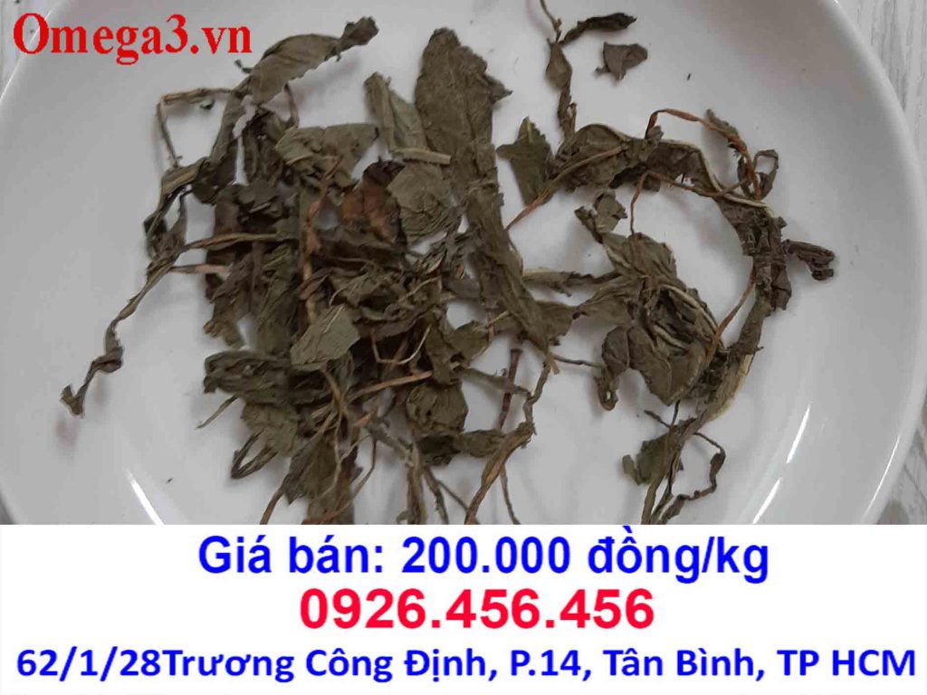 cây bồ công anh khô