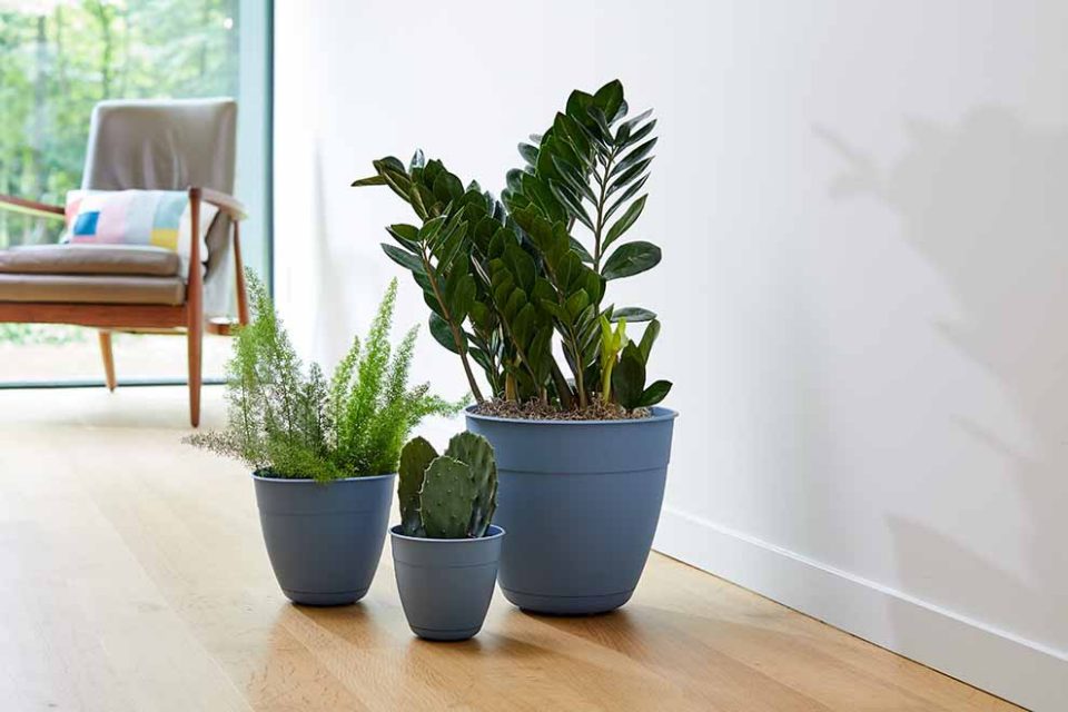 Mua chậu trồng cây ở đâu tại quận 7 HCM?