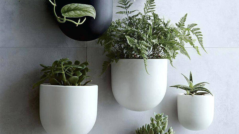 Mua chậu trồng cây ở đâu tại quận 7 HCM? 1