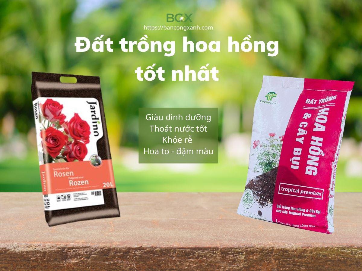 Mua đất trồng cây tại quận 7 HCM đảm bảo sạch và chất lượng 1