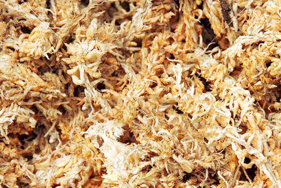 Vai trò của dớn trắng trong nông nghiệp trồng trọt 1