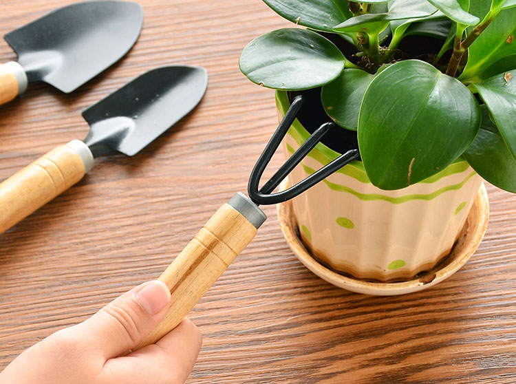 Địa chỉ mua dụng cụ làm vườn tốt nhất tại quận 7 HCM 1