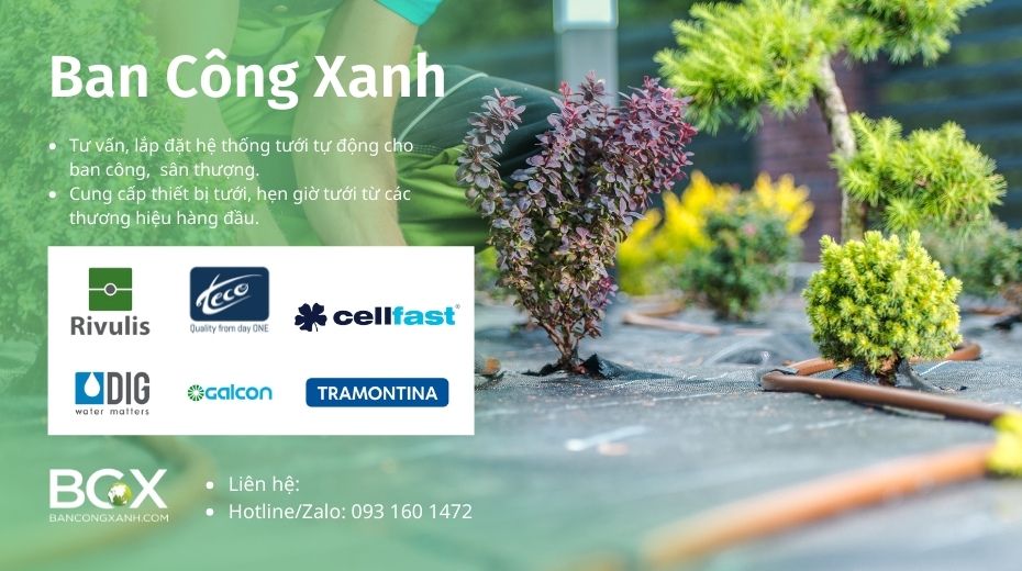 Địa chỉ mua dụng cụ làm vườn tốt nhất tại quận 7 HCM 3