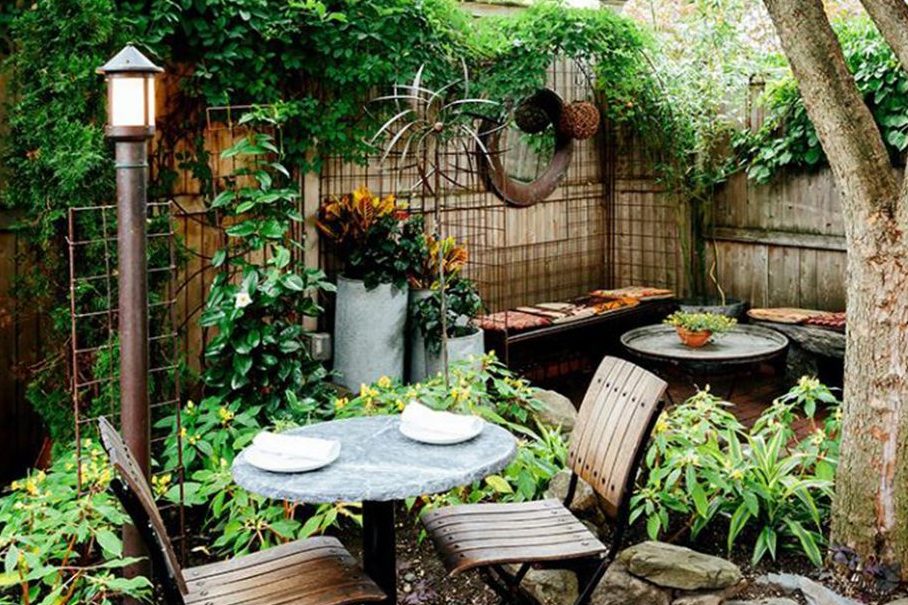 Mẹo làm mới không gian sống với cây trầu bà dây leo nên thử 1