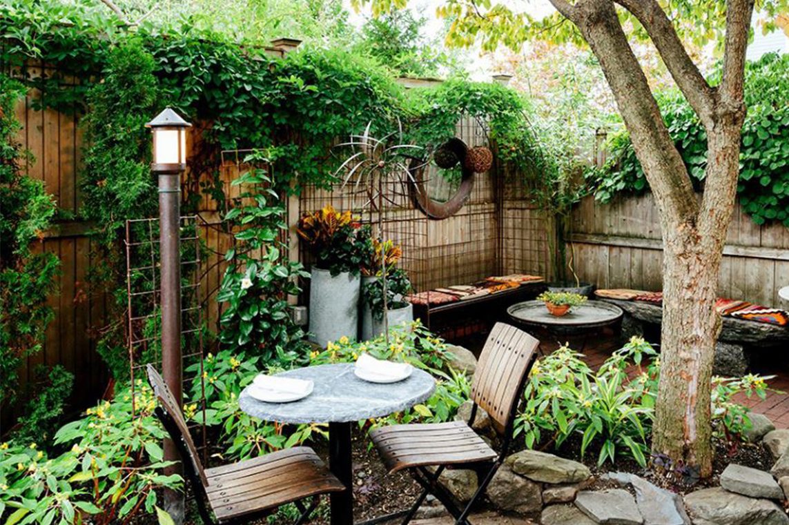 Thu hút khách hàng với bí quyết trang trí cafe sân vườn cùng cây trầu bà 5