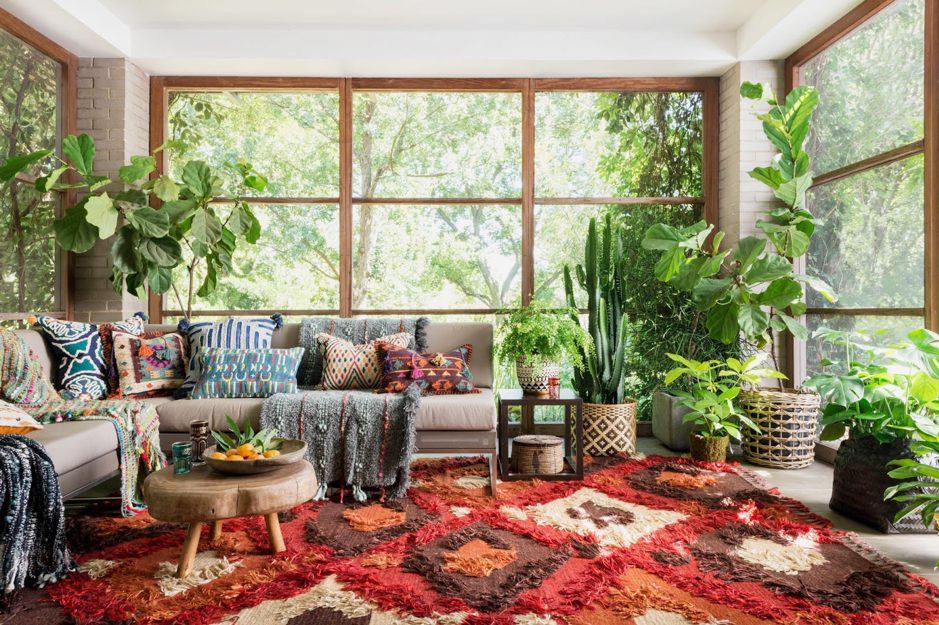 Top 3 cây trầu bà phù hợp phong cách Bohemian du mục cho phòng bạn 1