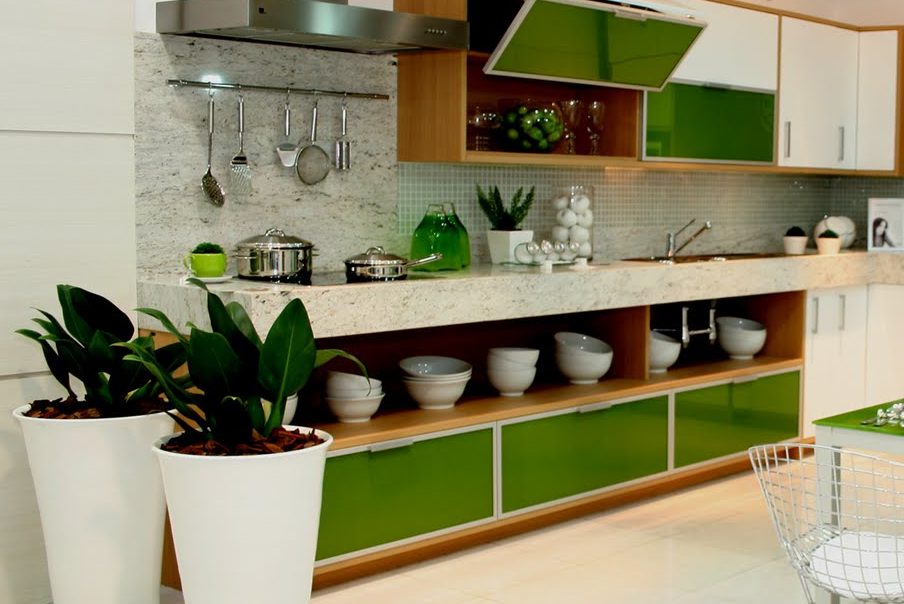 Top 5 cây trang trí nhà bếp mà bạn nên thử 1