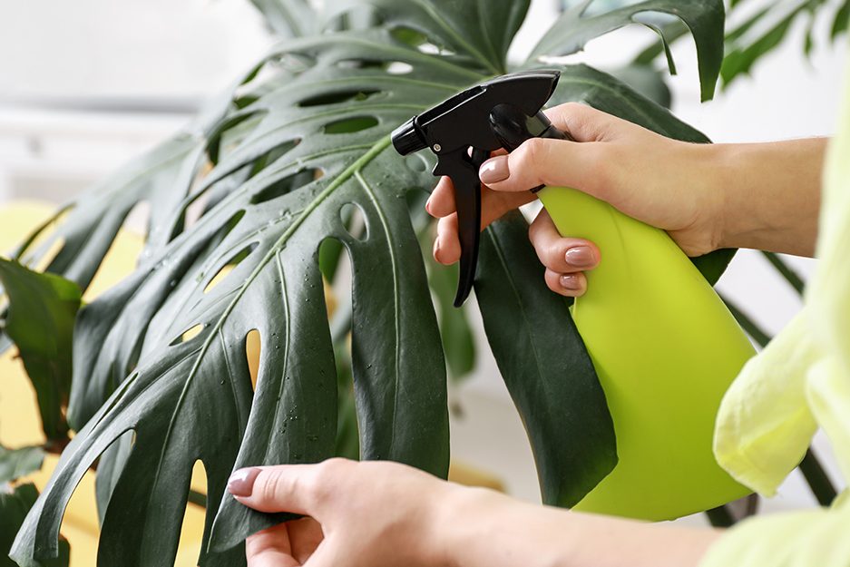 Một số lưu ý khi trưng cây giả nội thất 2