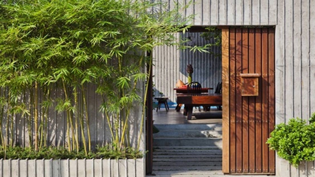 Những cây nội thất trồng trước nhà đem lại may mắn 1