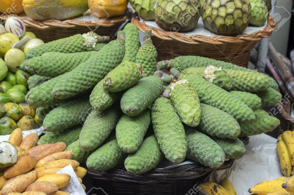 Quả cây Monstera ăn được không 3