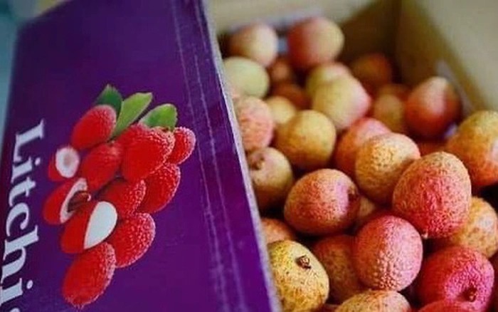 3 cách giữ lạnh bảo quản trái cây xuất khẩu 01