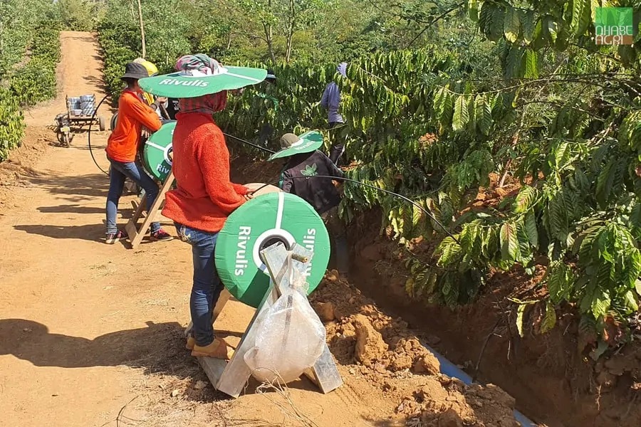 Thi công lắp đặt hệ thống tưới Nhà Bè Agri