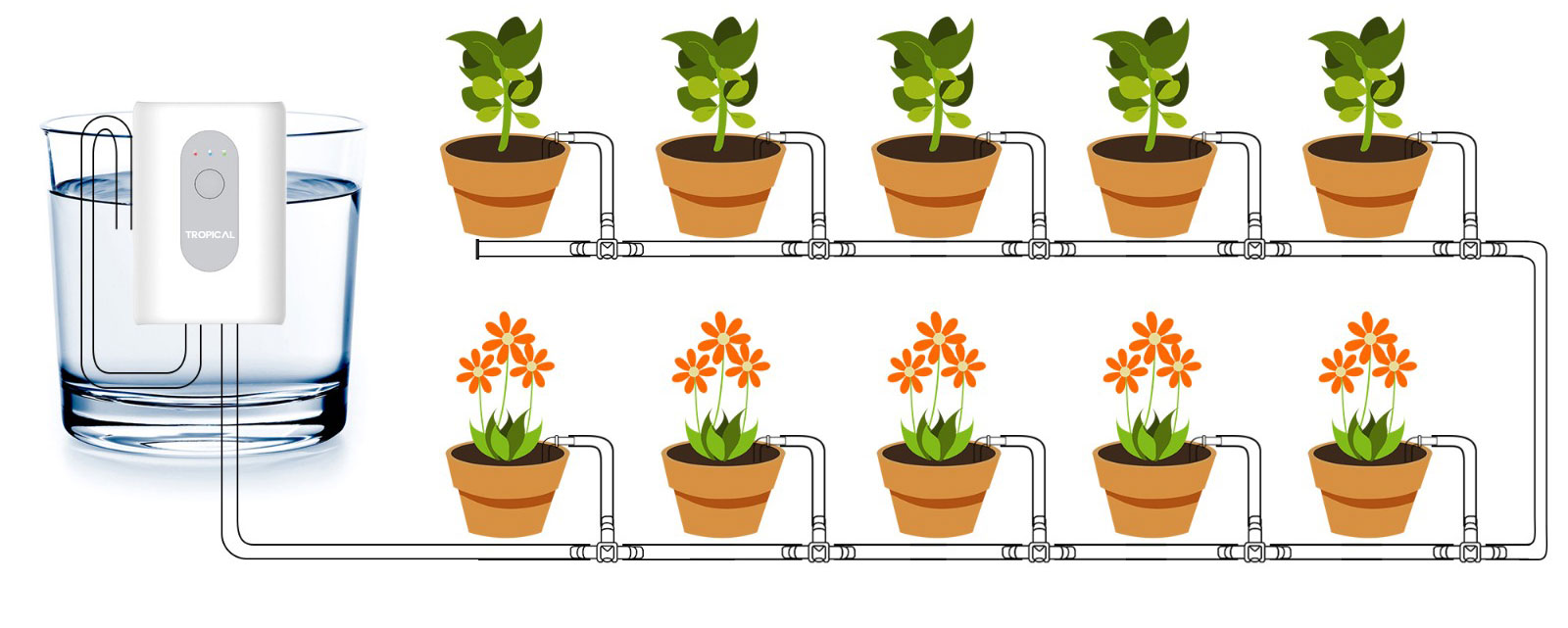 Bo kit tuoi tu dong vuon tuong