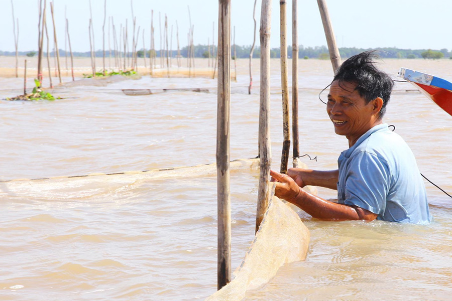 Hơn 16 ngàn ha có nguy cơ ảnh hưởng bởi lũ kết hợp triều cường