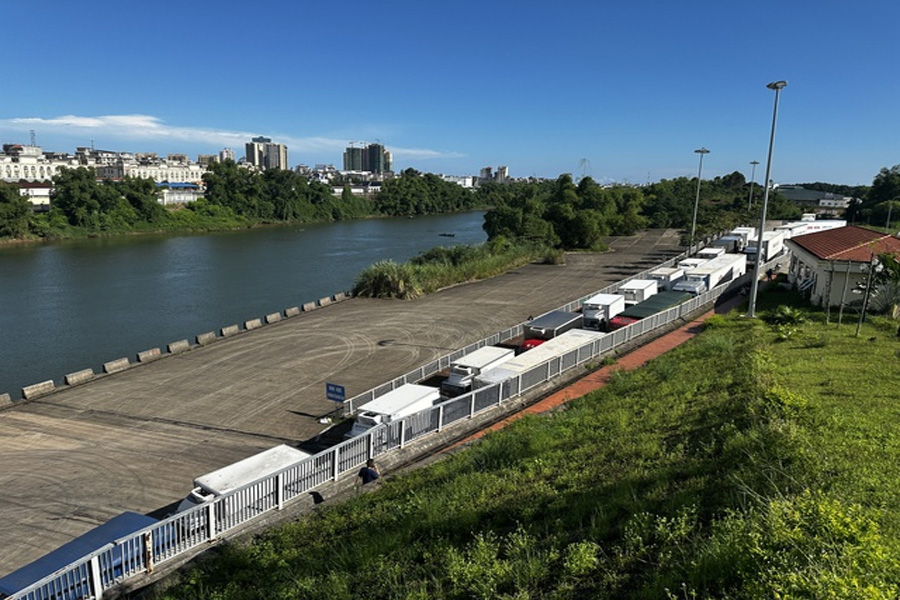 Trung Quốc bất ngờ hạn chế nhập khẩu hàng tấn tôm hùm chết tại cửa khẩu