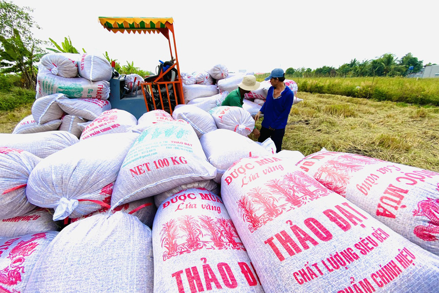 Việt Nam đang xuất nhiều gạo nhất thế giới