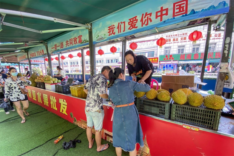 Sầu riêng Việt lợi thế tại Trung Quốc bởi vận chuyển bằng đường bộ