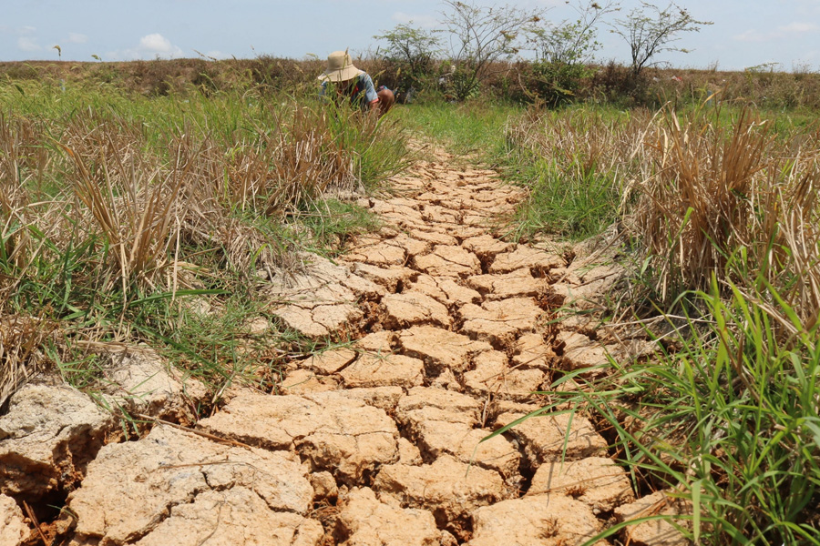 Xâm nhập mặn tại Nam Bộ dự báo sẽ rất gay gắt vào mùa khô 2023 - 2024