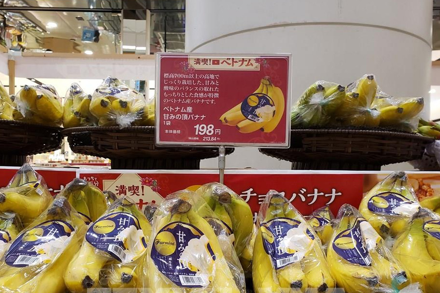 Xuất khẩu chuối Việt Nam sang Nhật Bản tăng đột biến