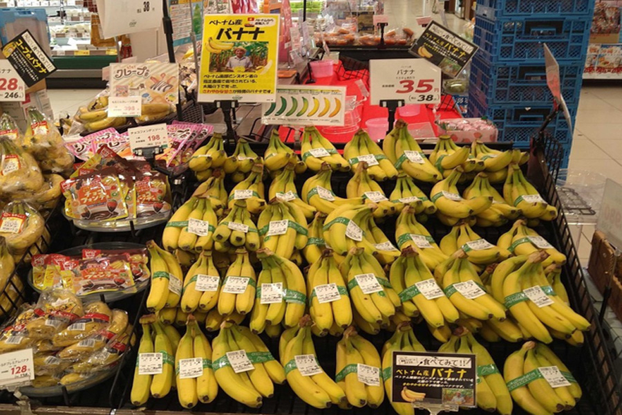 Xuất khẩu chuối Việt Nam sang Nhật Bản tăng đột biến