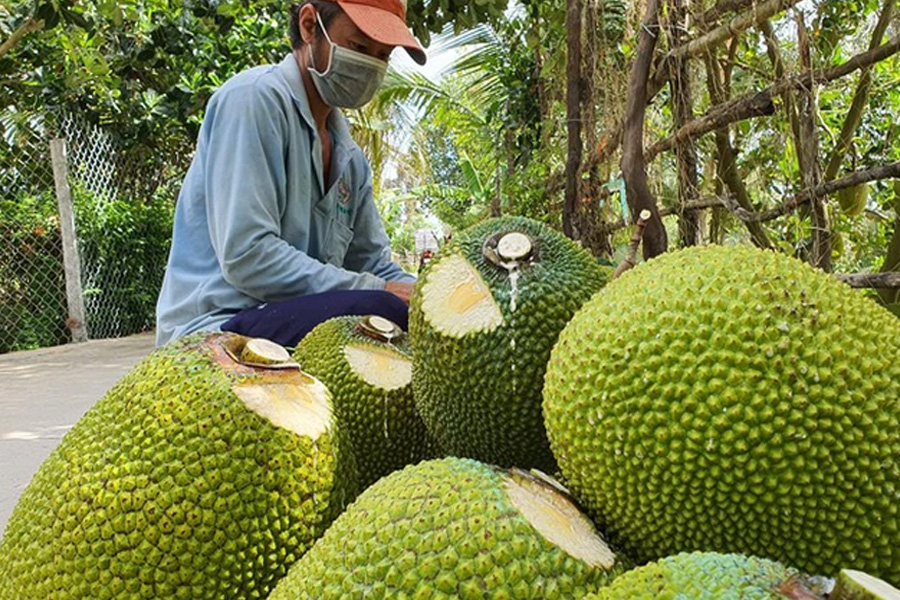 Xuất khẩu rau quả vượt ngưỡng 4 tỷ USD