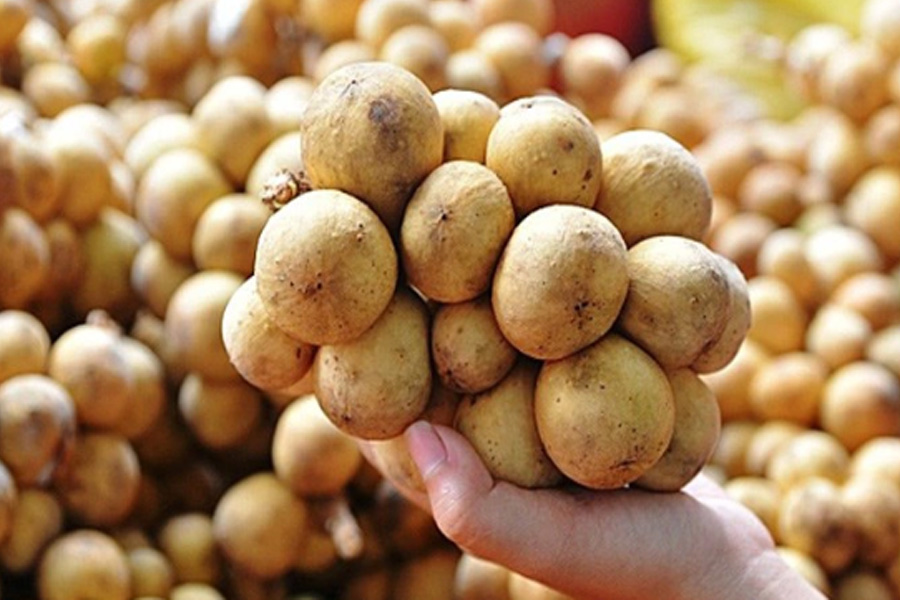 Bòn bon Việt bị cảnh báo ở Iceland do dư lượng Carbaryl