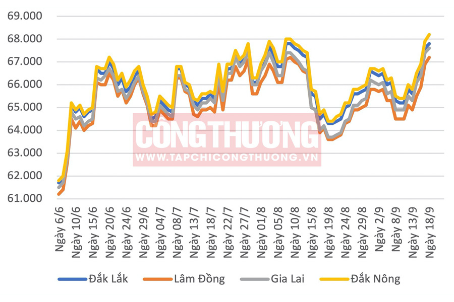 Giá cà phê hôm nay đầu tuần tăng vượt 68.000 đồng/kg