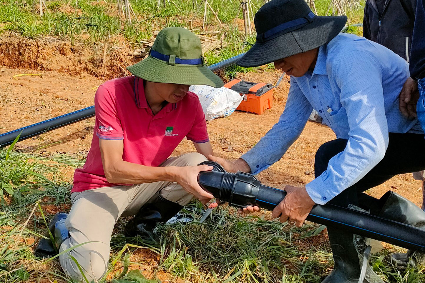 Dịch vụ báo giá hệ thống tưới tự động miễn phí từ Nhà Bè Agri