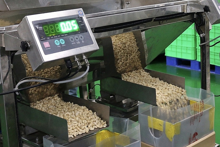 Chất lượng hạt điều xuất khẩu bị cảnh báo