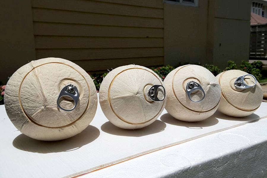 Đặt mục tiêu xuất khẩu dừa đạt 1 tỷ USD