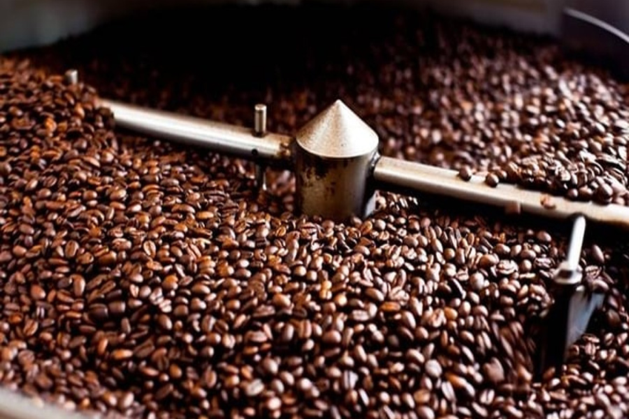 Giá cà phê tăng vọt hơn 1.000 đồng/kg