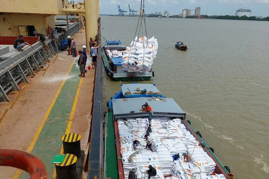 Giá gạo thế giới tăng trở lại, giá gạo Việt dẫn đầu