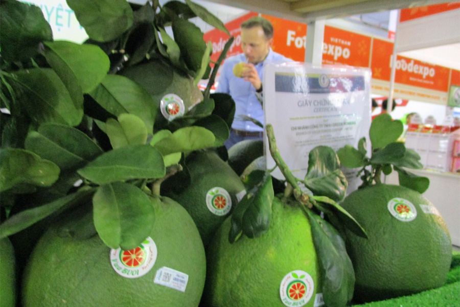 New Zealand xem xét nới lỏng kiểm dịch với quả có múi Việt Nam