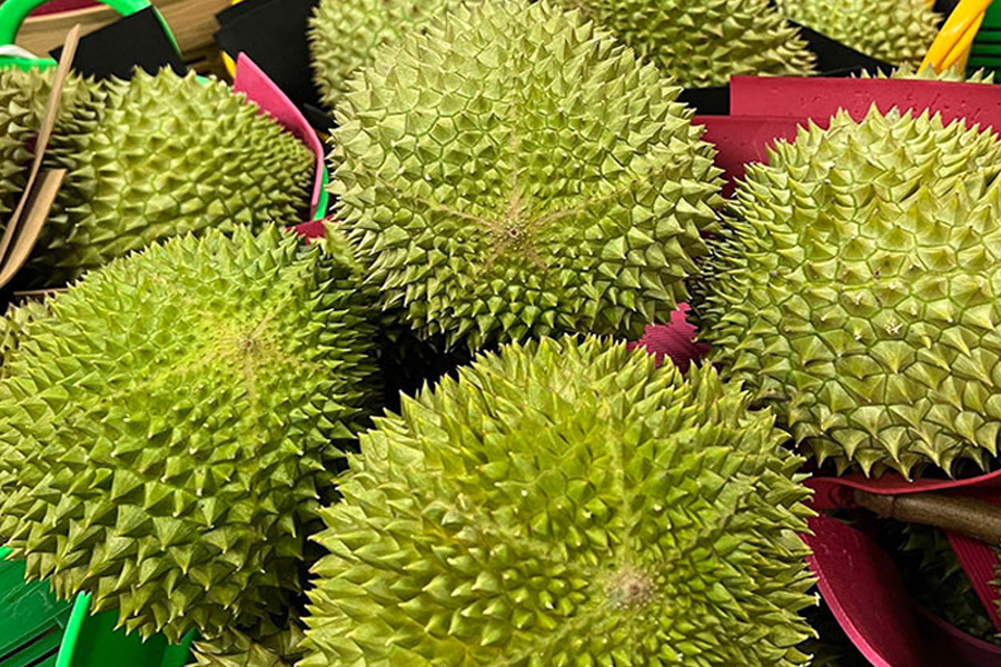 Sầu riêng Musang King trồng ở Việt Nam giá thấp kỷ lục