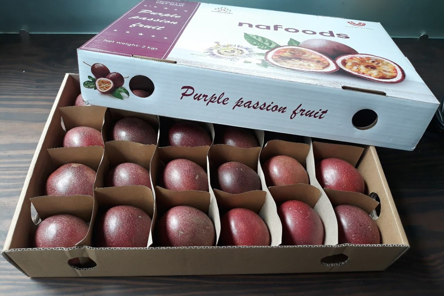 Xuất khẩu hoa quả Việt Nam vào châu Âu tăng mạnh