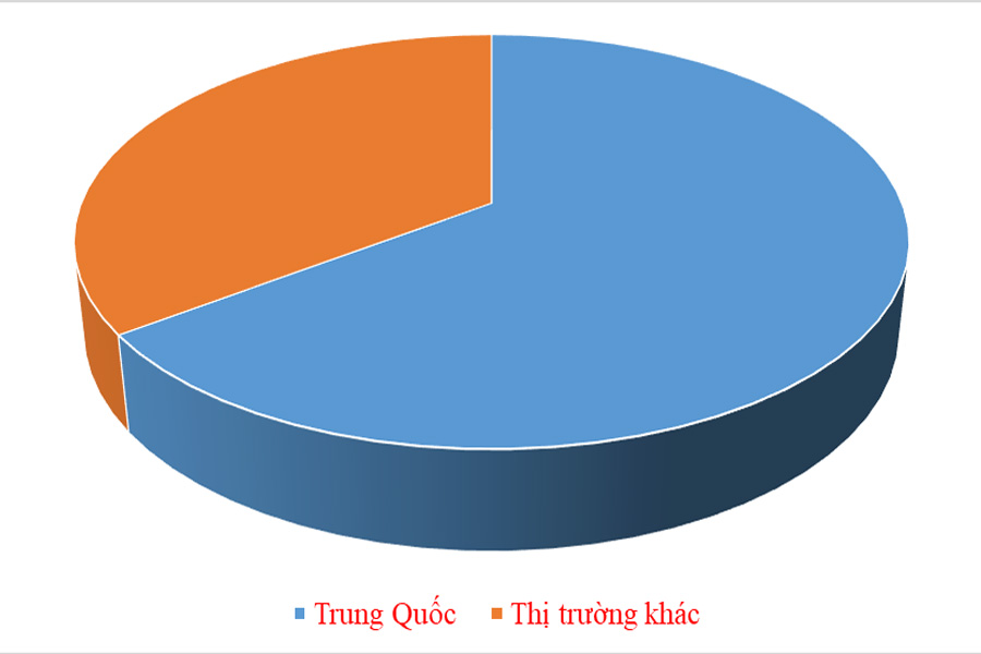 Xuất khẩu rau quả trong tháng 9 thu về gần 700 triệu USD