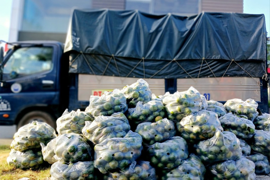 Cam sành chín rộ giá rẻ vẫn ế