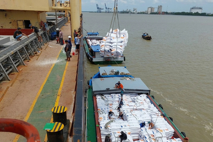 Giá gạo xuất khẩu cao kỷ lục vì sao doanh nghiệp vẫn kêu lỗ?