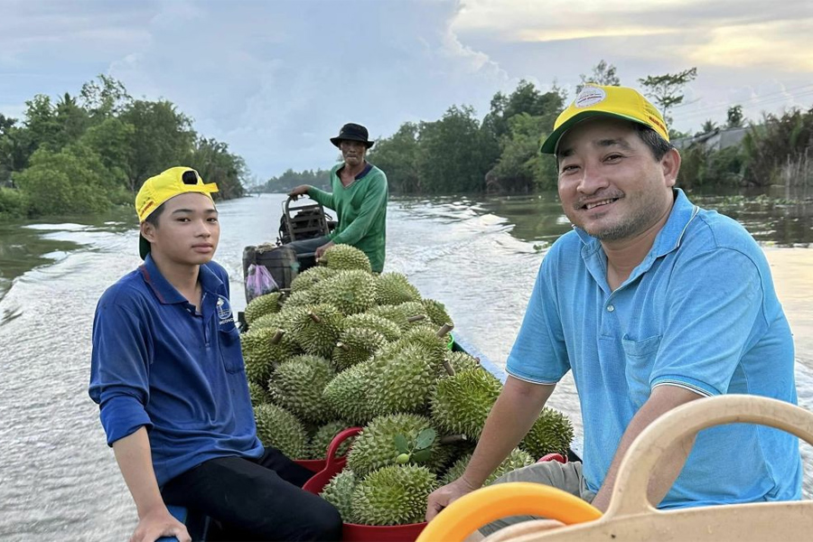 Giá sầu riêng lại tiếp tục tăng vọt