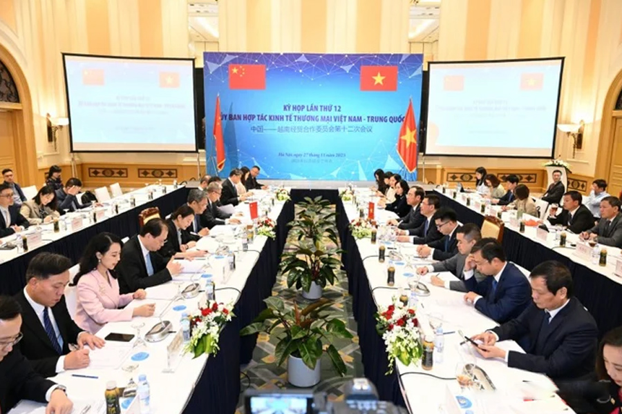 Giải pháp tháo gỡ khó cho xuất khẩu tôm hùm bông Việt Nam