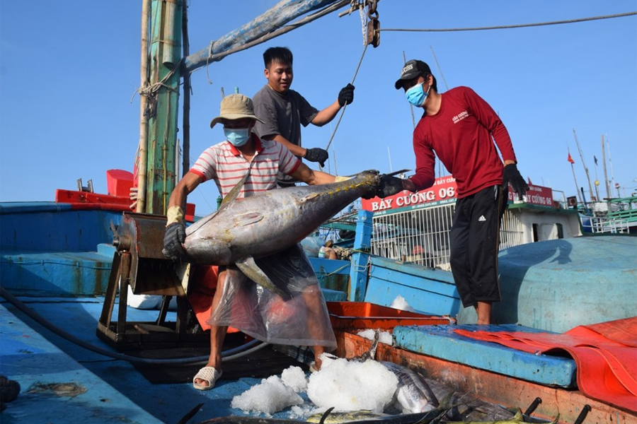 Hình thành vùng chuyên canh nhờ ứng dụng công nghệ cao