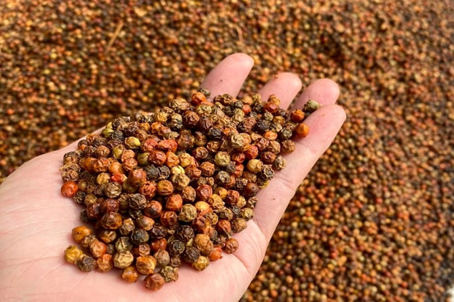 Nông sản - thực phẩm Việt Nam chiếm tỷ lệ thấp trong cảnh báo của EU