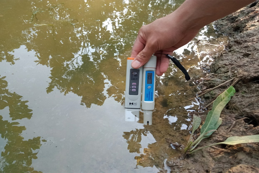 Phòng chống hạn mặn cho cây sầu riêng trong mùa khô