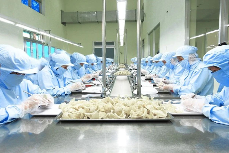 Sản lượng yến Việt Nam có thể đạt 350 - 400 tấn/năm