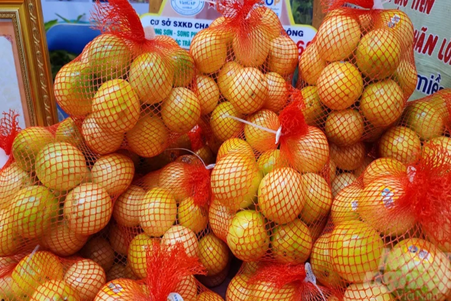 Sóc Trăng mời gọi doanh nghiệp liên kết trồng chanh leo xuất khẩu