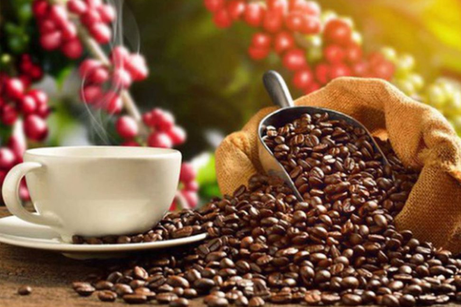 Việt Nam nhập khẩu hơn 100.000 tấn cà phê