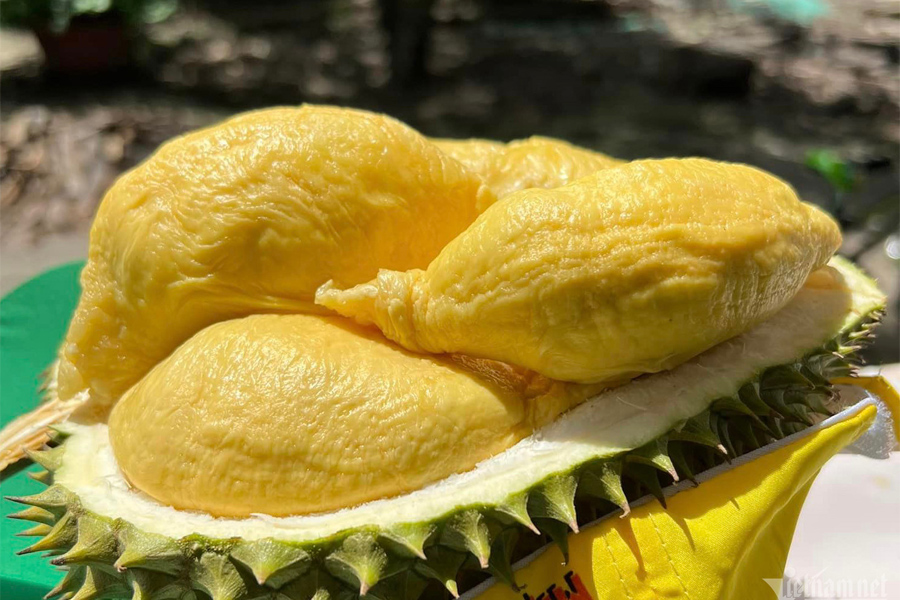 Xuất khẩu sầu riêng vượt 2 tỷ USD